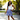 Cobalt Canopy Skirt